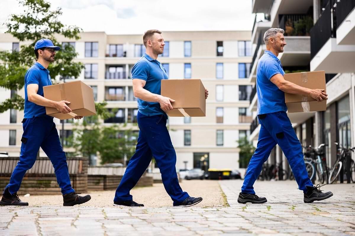 Professionalism and Customer Care in House Removals