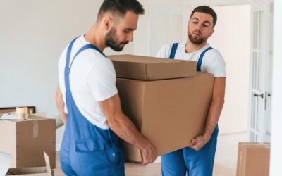 Does Hiring a Professional Removal Company Guarantee a Stress-Free Move?