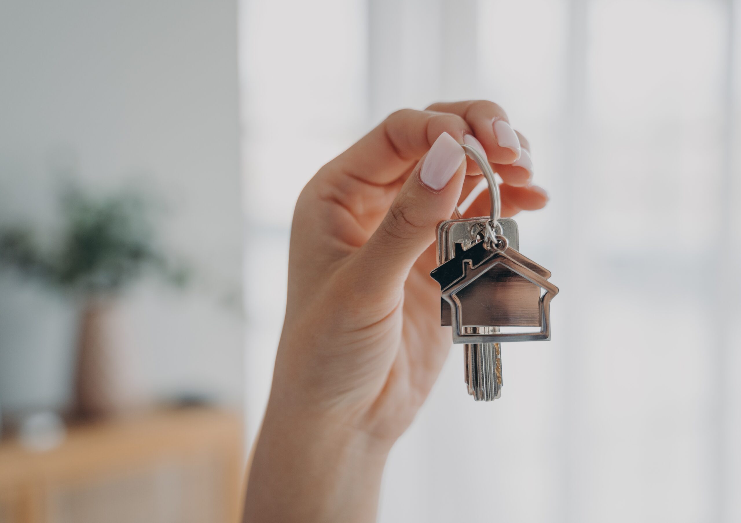Professional House Removal Services in Bristol